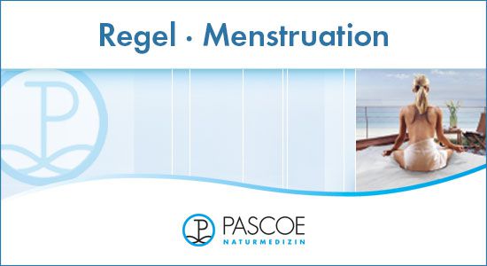 Regel / Menstruation